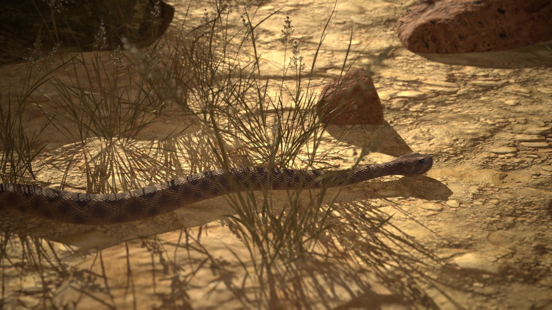 Rattlesnake Low-poly 3D model_24