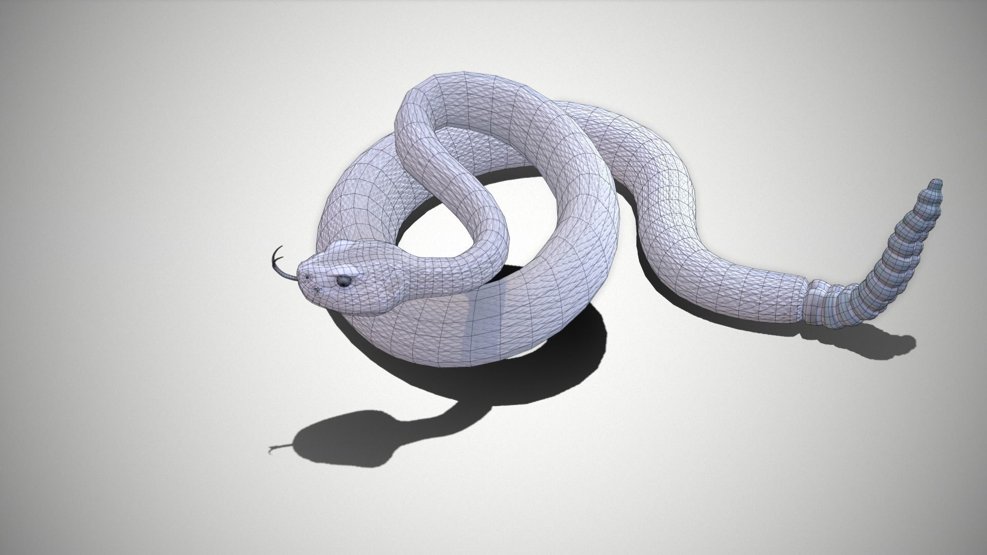 Rattlesnake Low-poly 3D model_34