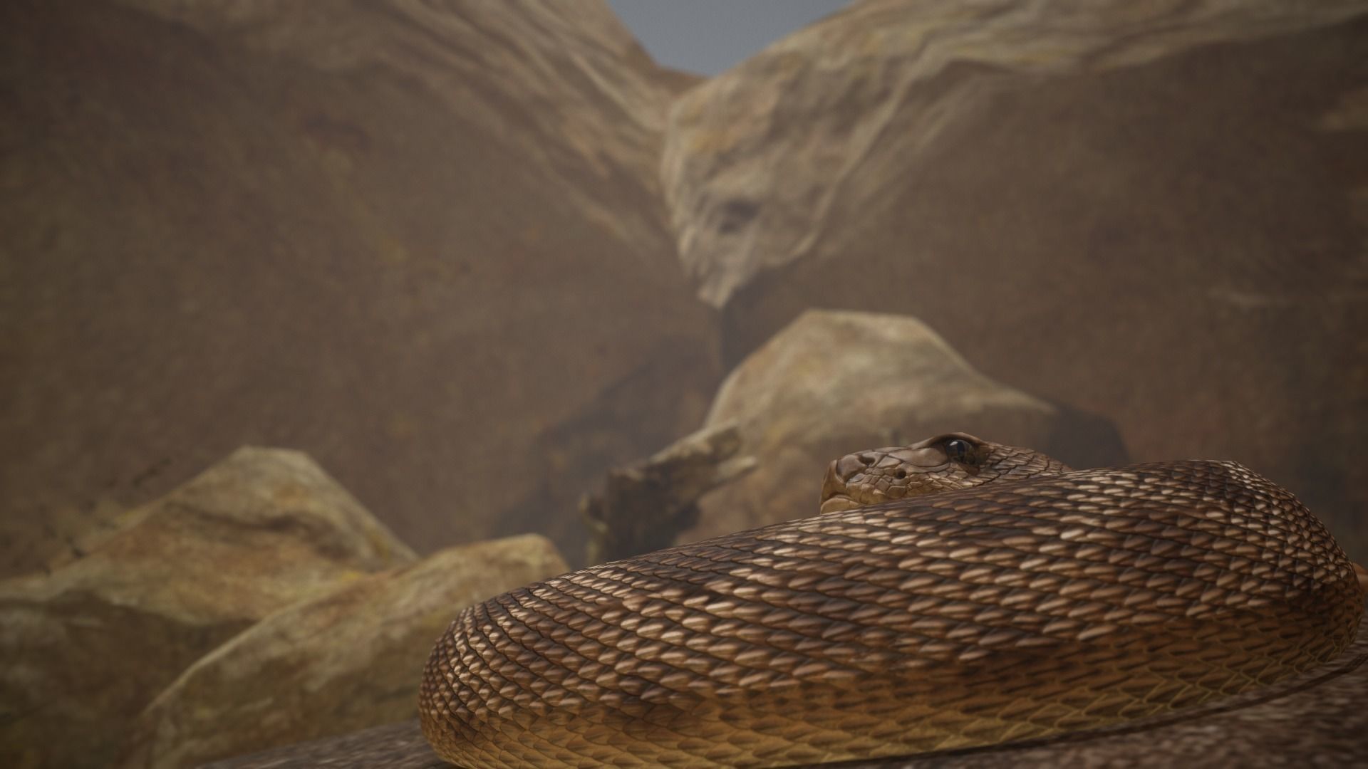 Rattlesnake Low-poly 3D model_27