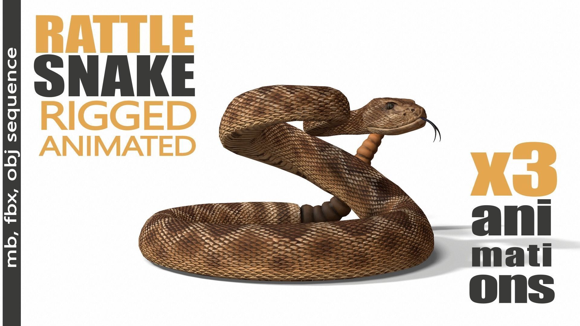 Rattlesnake Low-poly 3D model_2