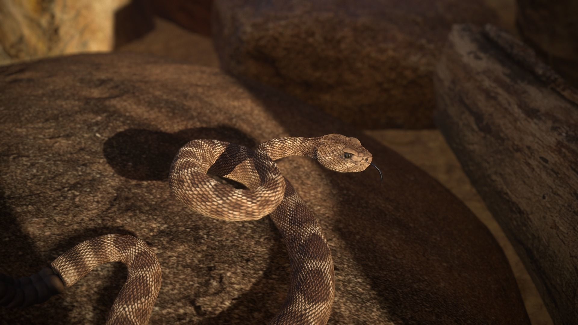 Rattlesnake Low-poly 3D model_16