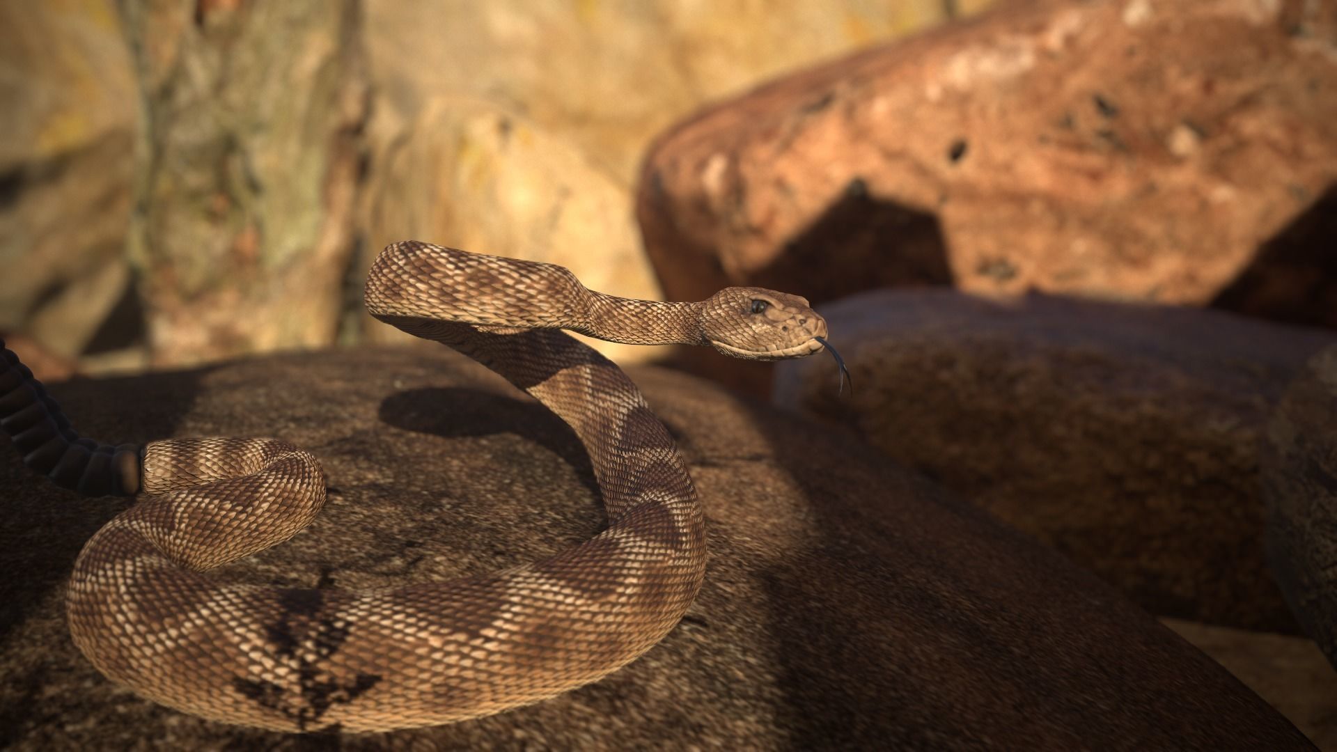 Rattlesnake Low-poly 3D model_18