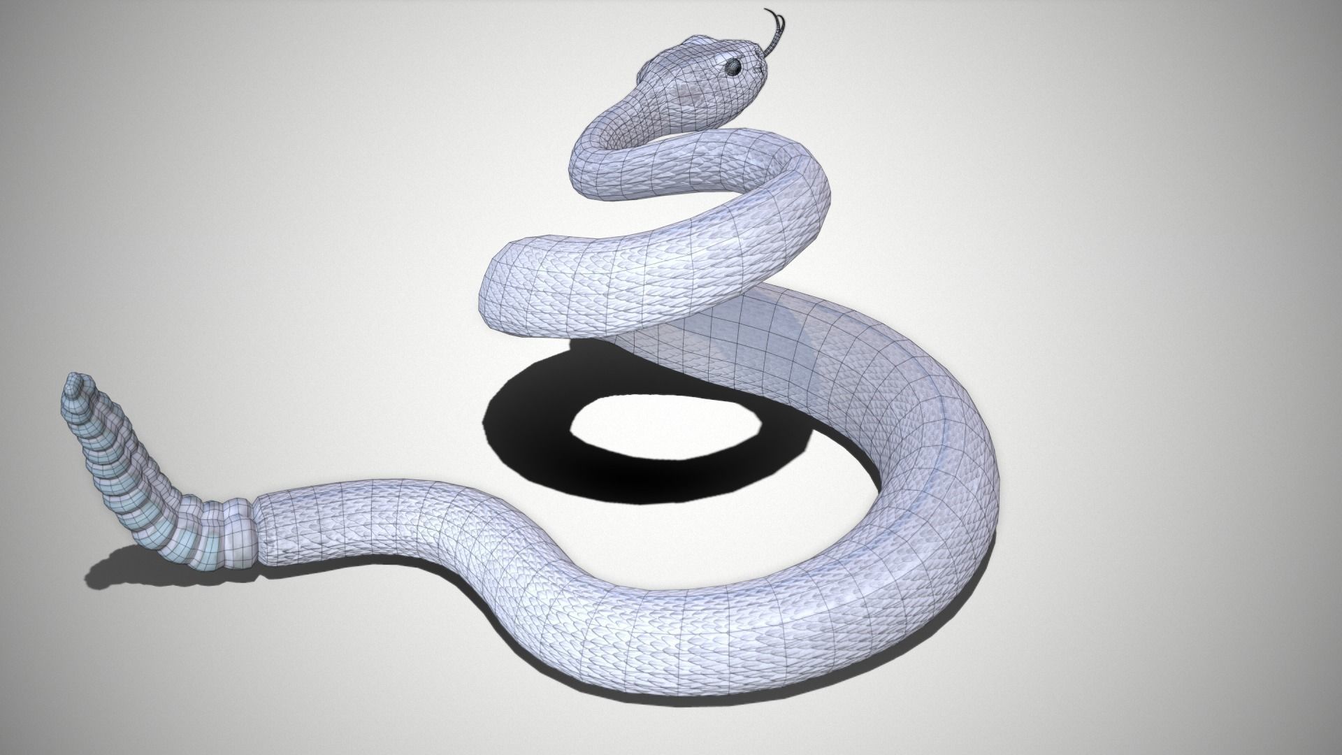 Rattlesnake Low-poly 3D model_35