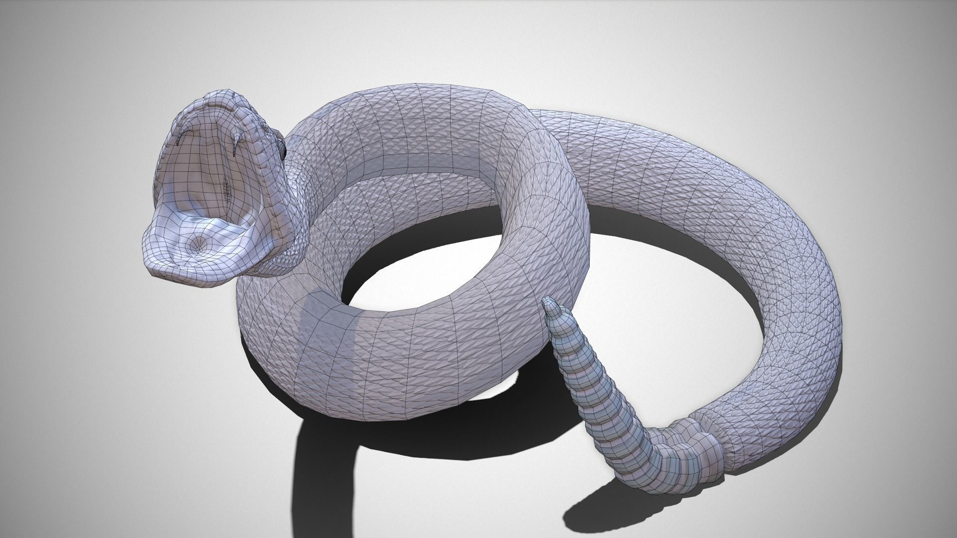 Rattlesnake Low-poly 3D model_37