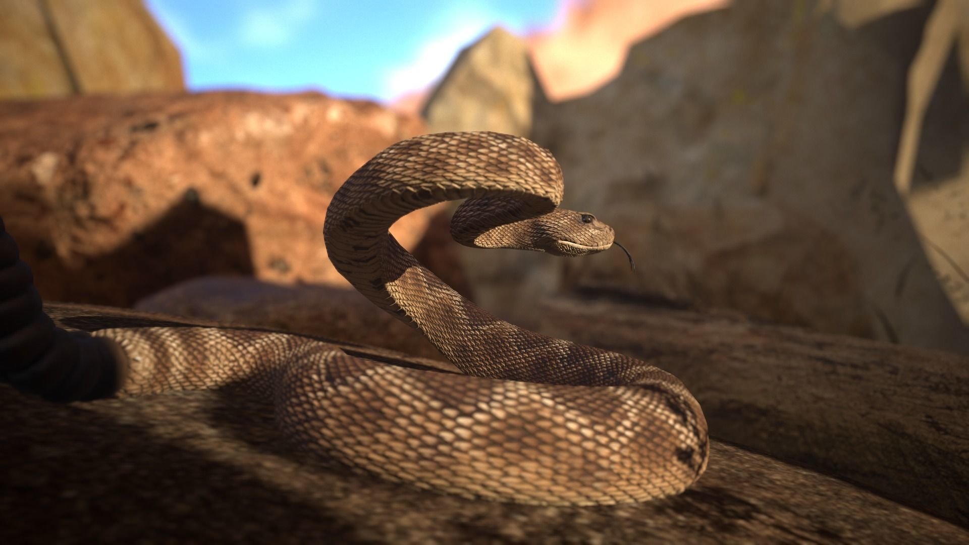 Rattlesnake Low-poly 3D model_13