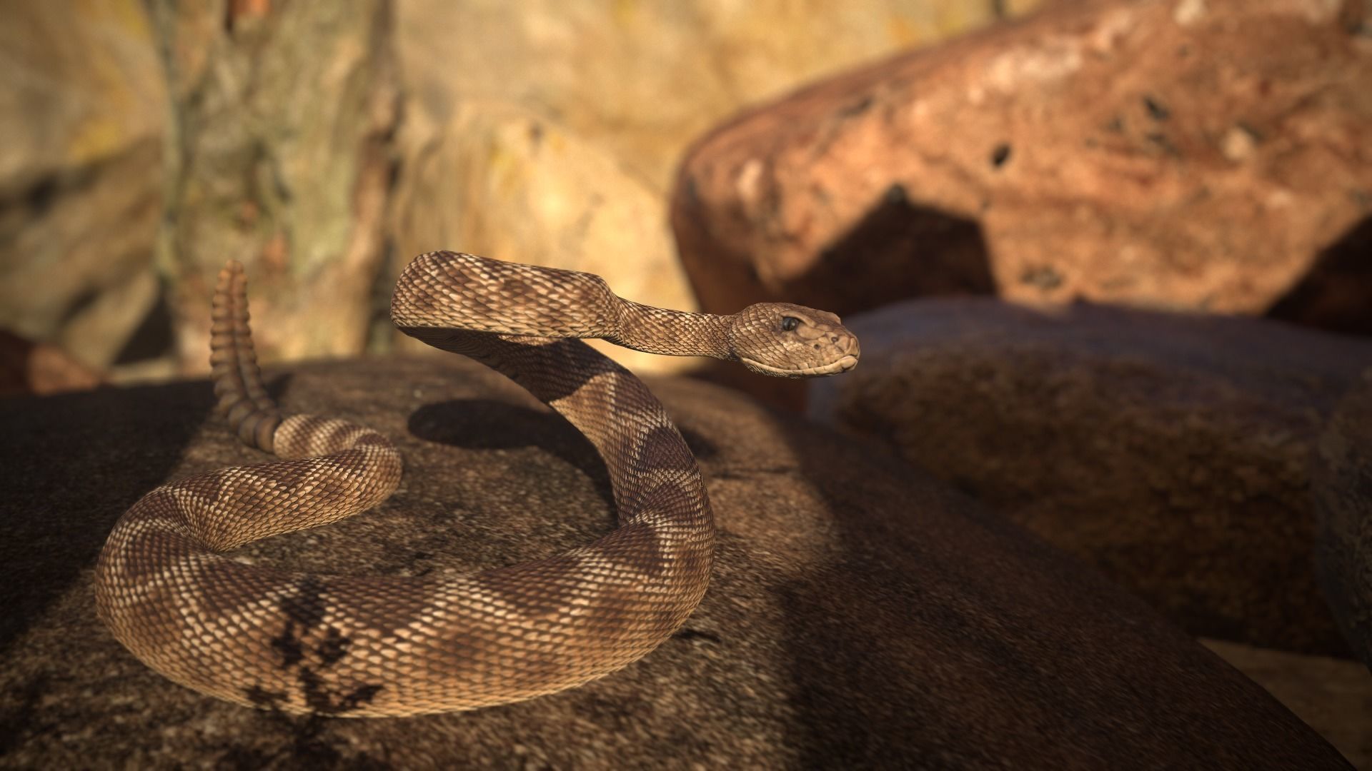 Rattlesnake Low-poly 3D model_6