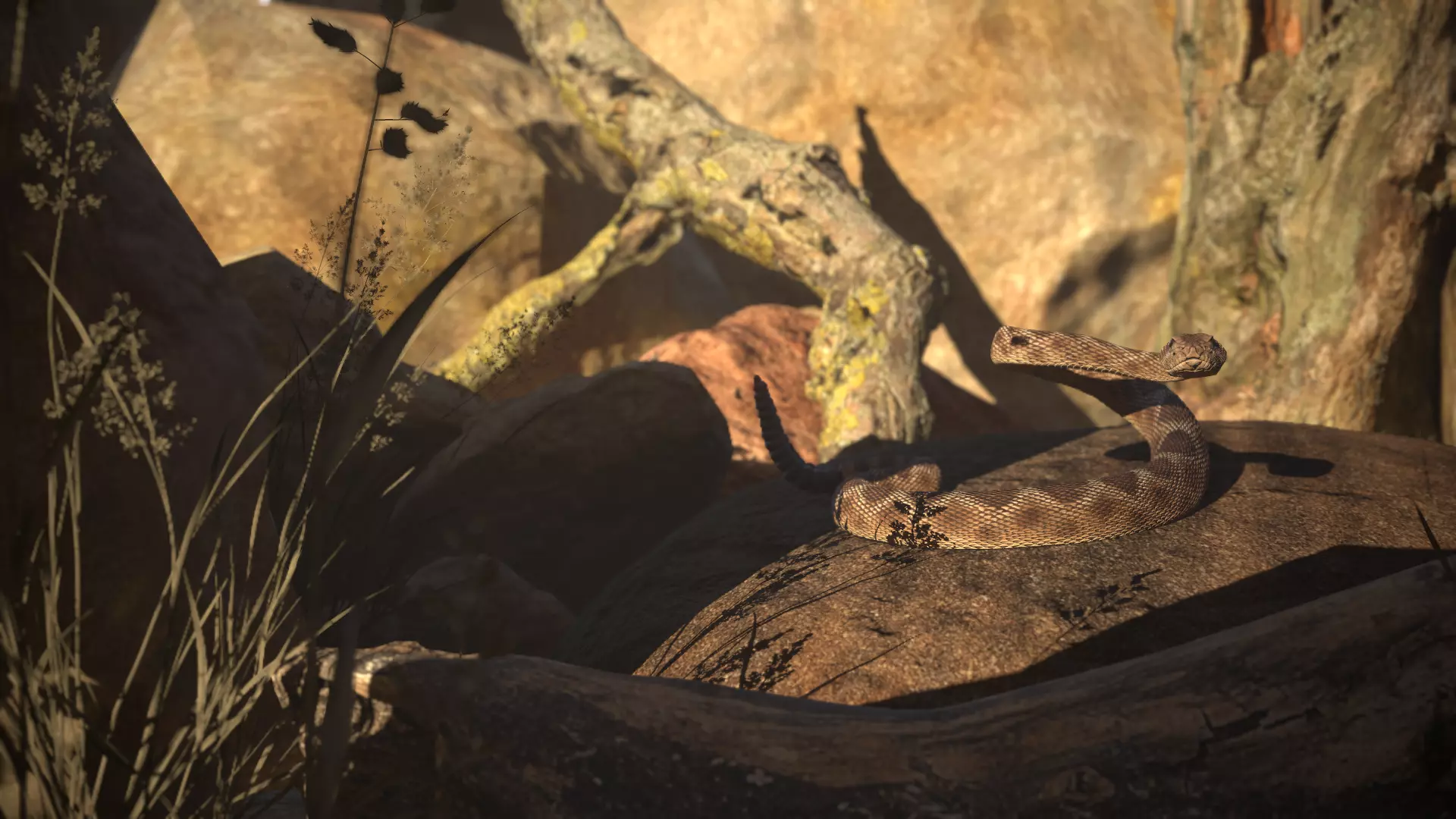 Rattlesnake Low-poly 3D model_43