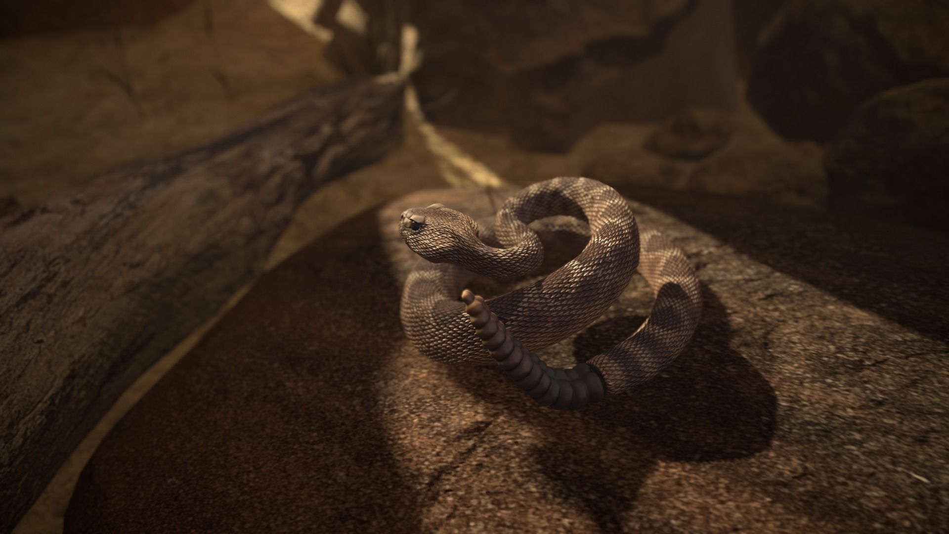Rattlesnake Low-poly 3D model_8