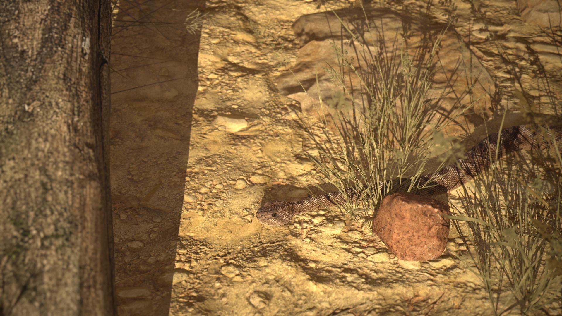 Rattlesnake Low-poly 3D model_23