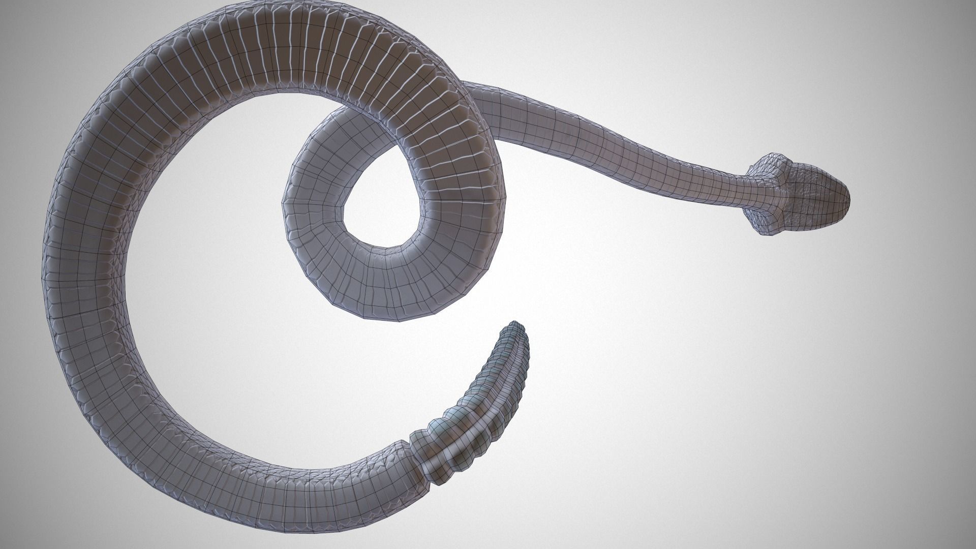 Rattlesnake Low-poly 3D model_38