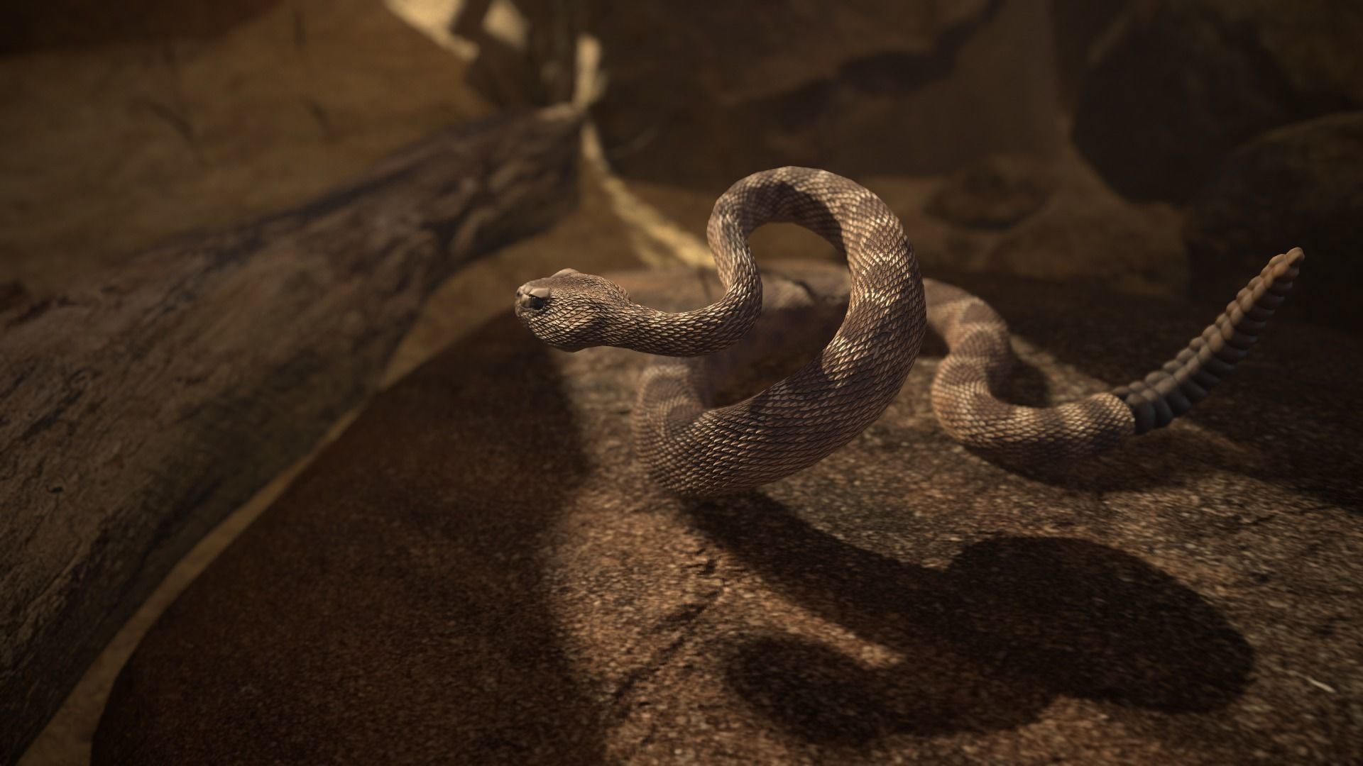 Rattlesnake Low-poly 3D model_12