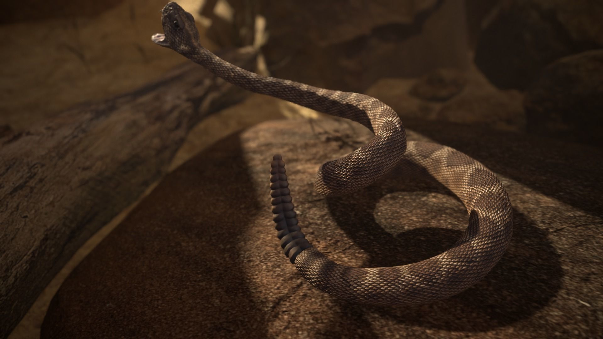 Rattlesnake Low-poly 3D model_10