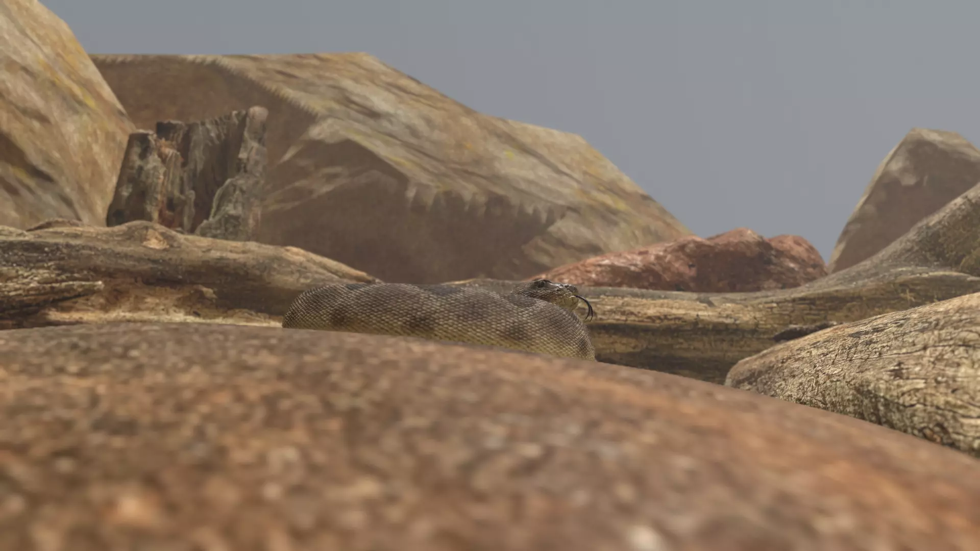 Rattlesnake Low-poly 3D model_39