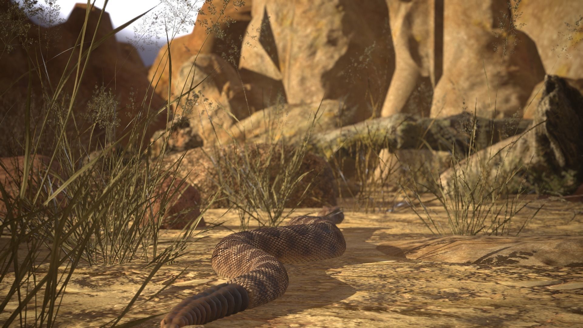 Rattlesnake Low-poly 3D model_25