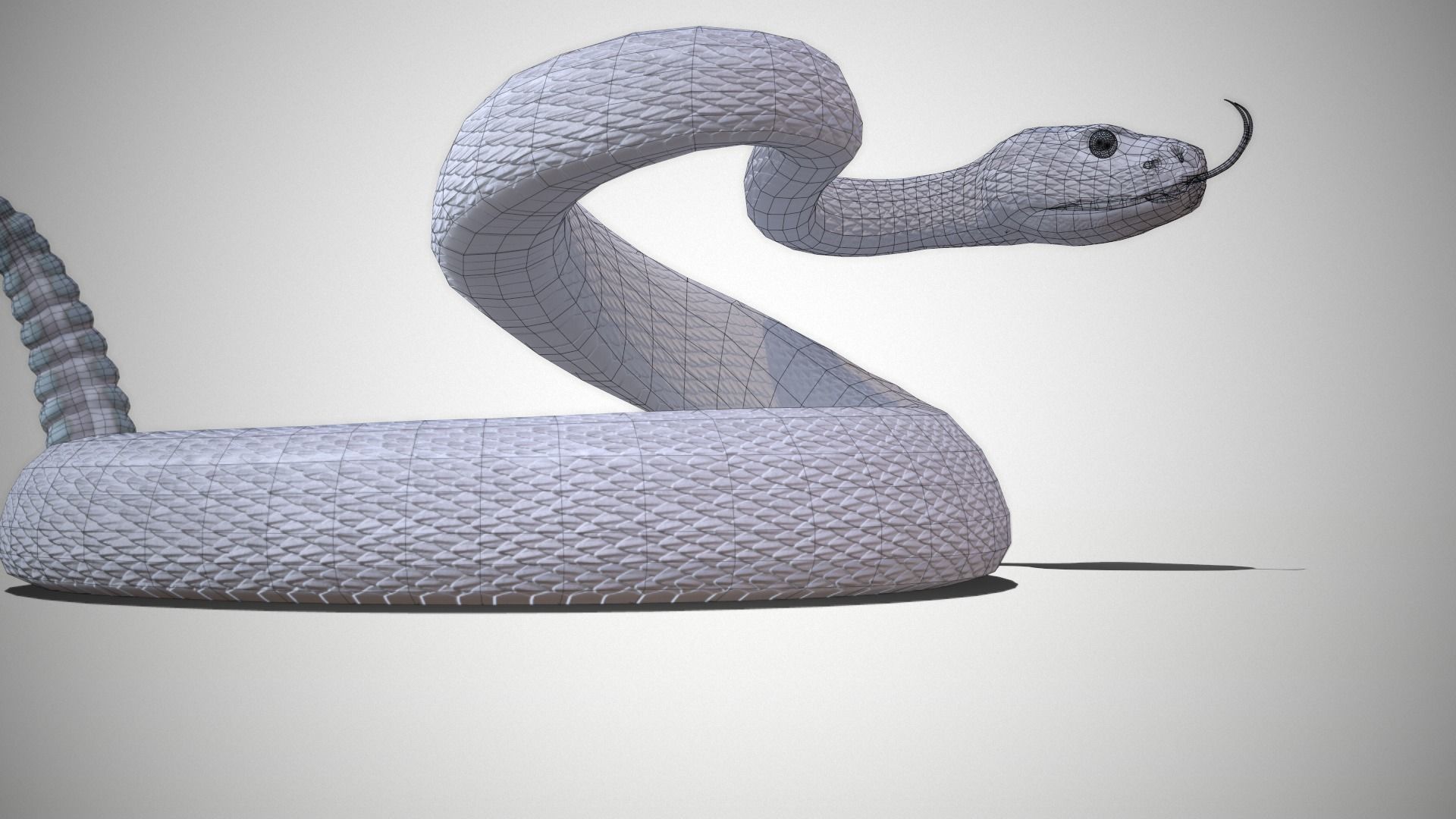 Rattlesnake Low-poly 3D model_36