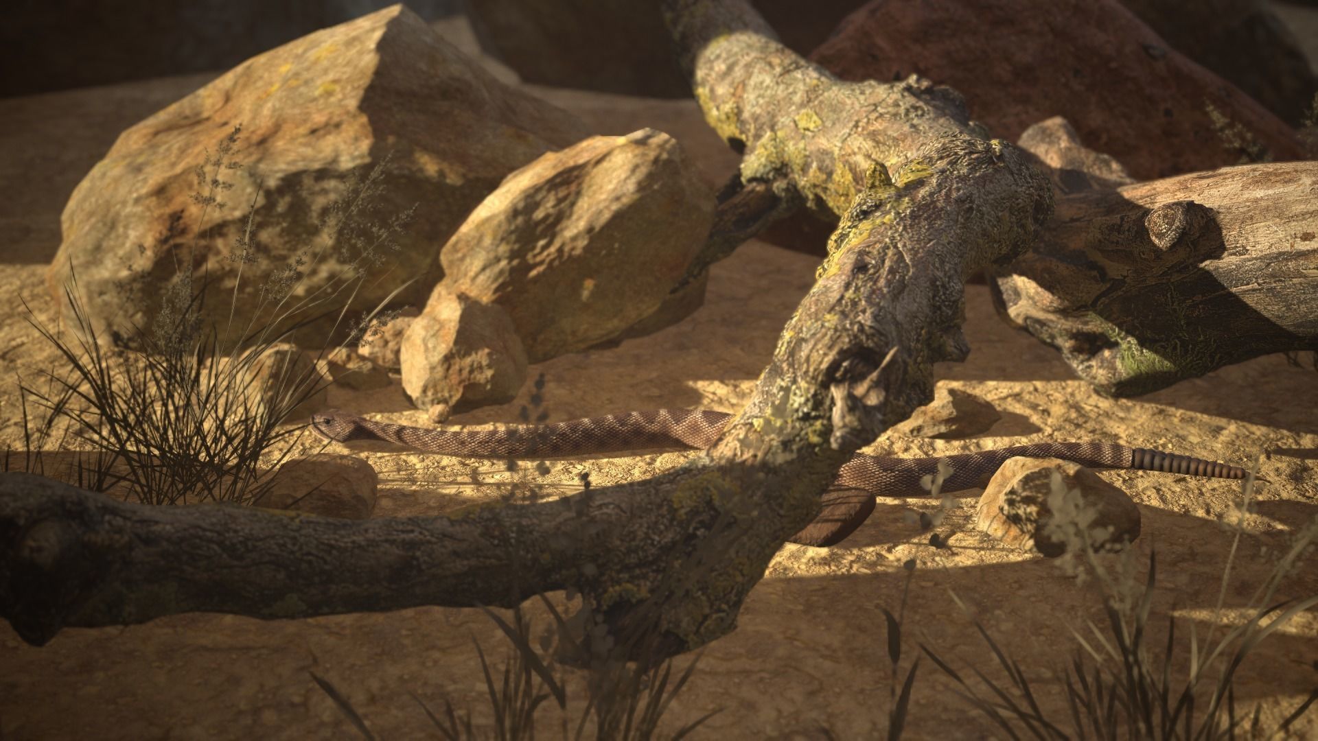 Rattlesnake Low-poly 3D model_20