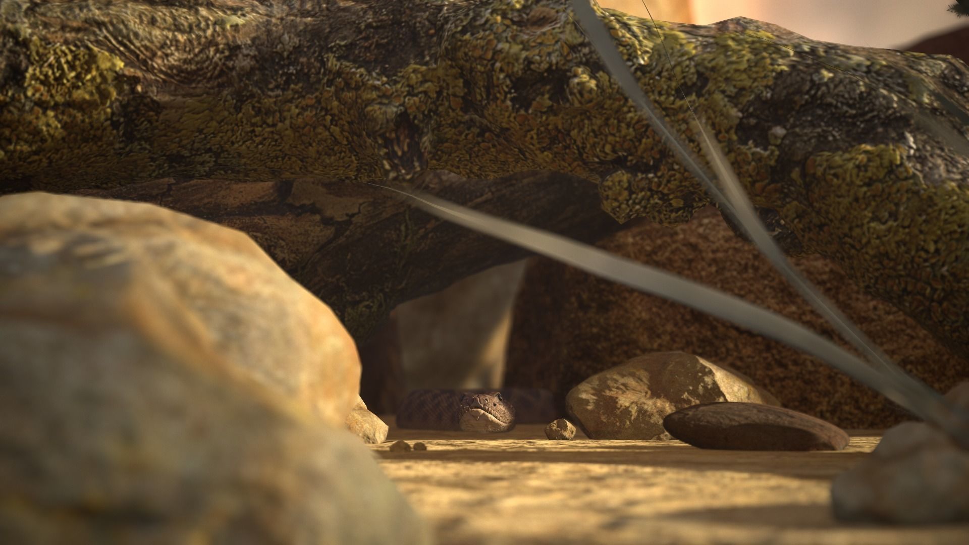 Rattlesnake Low-poly 3D model_19