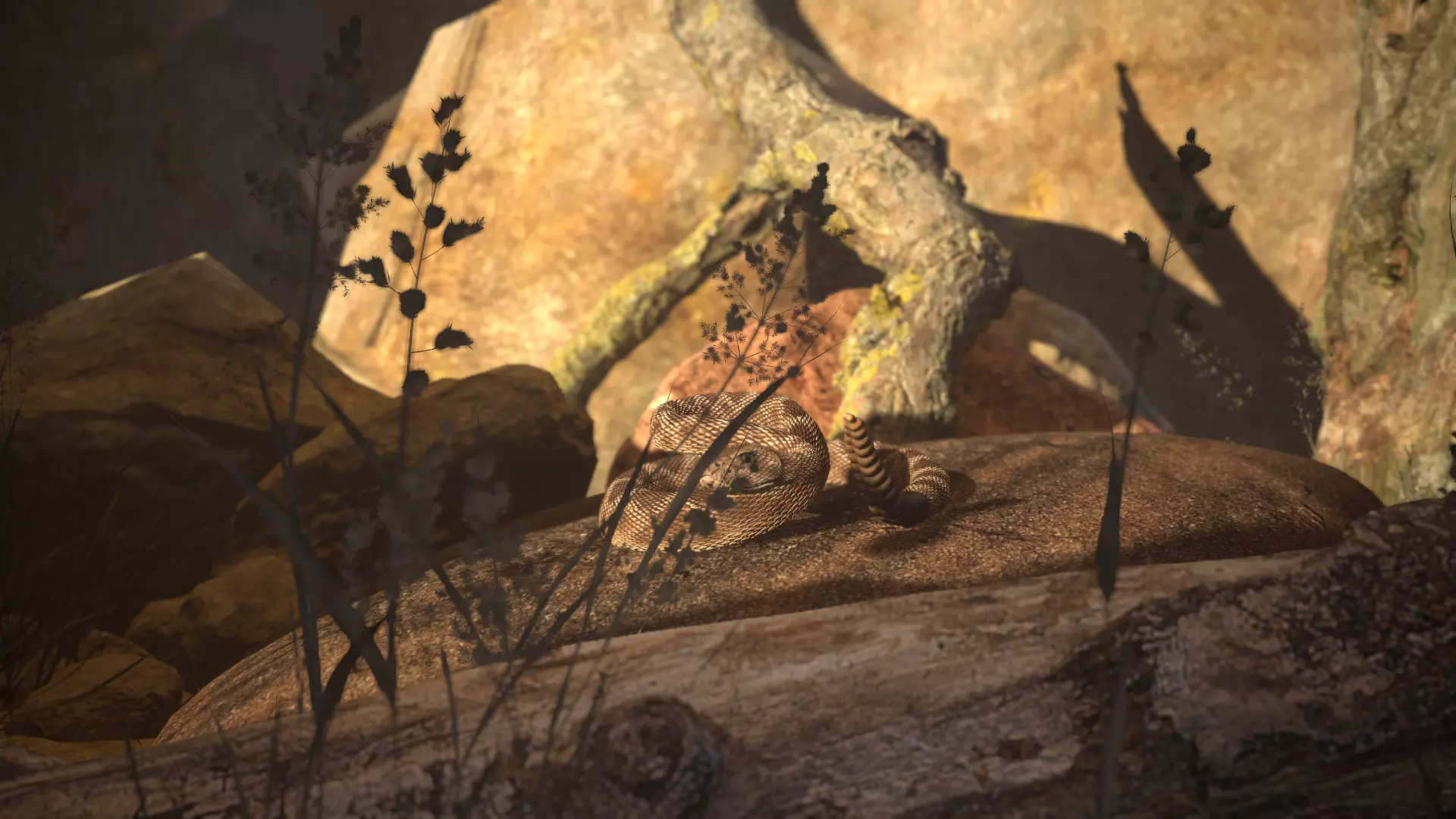 Rattlesnake Low-poly 3D model_44