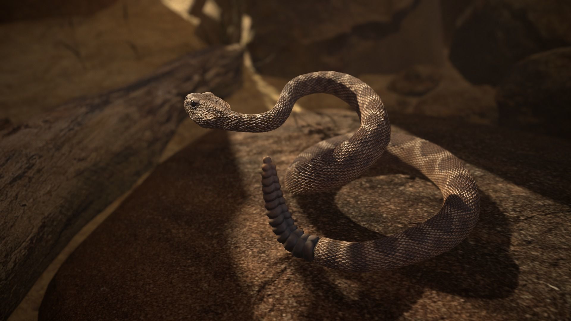 Rattlesnake Low-poly 3D model_9