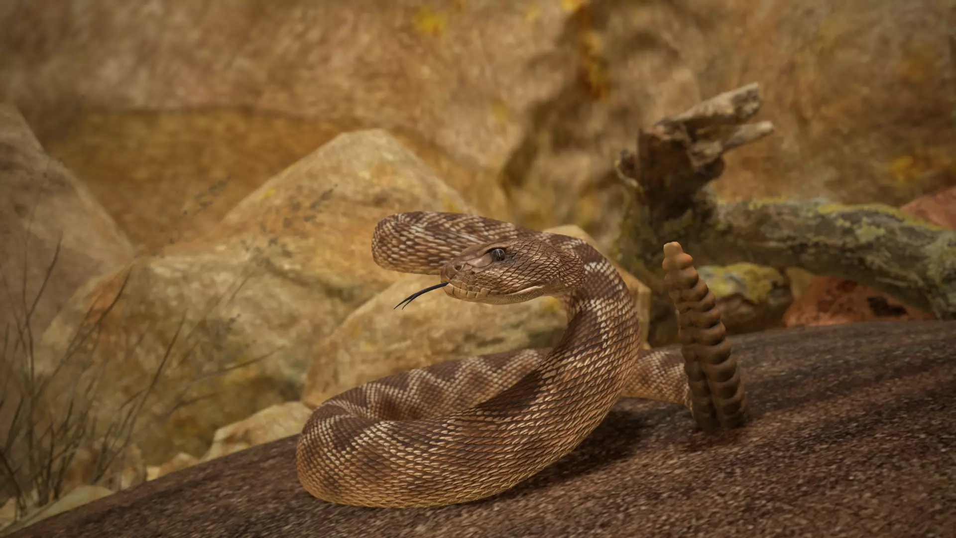 Rattlesnake Low-poly 3D model_45