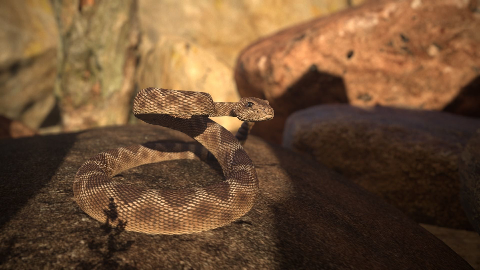 Rattlesnake Low-poly 3D model_4