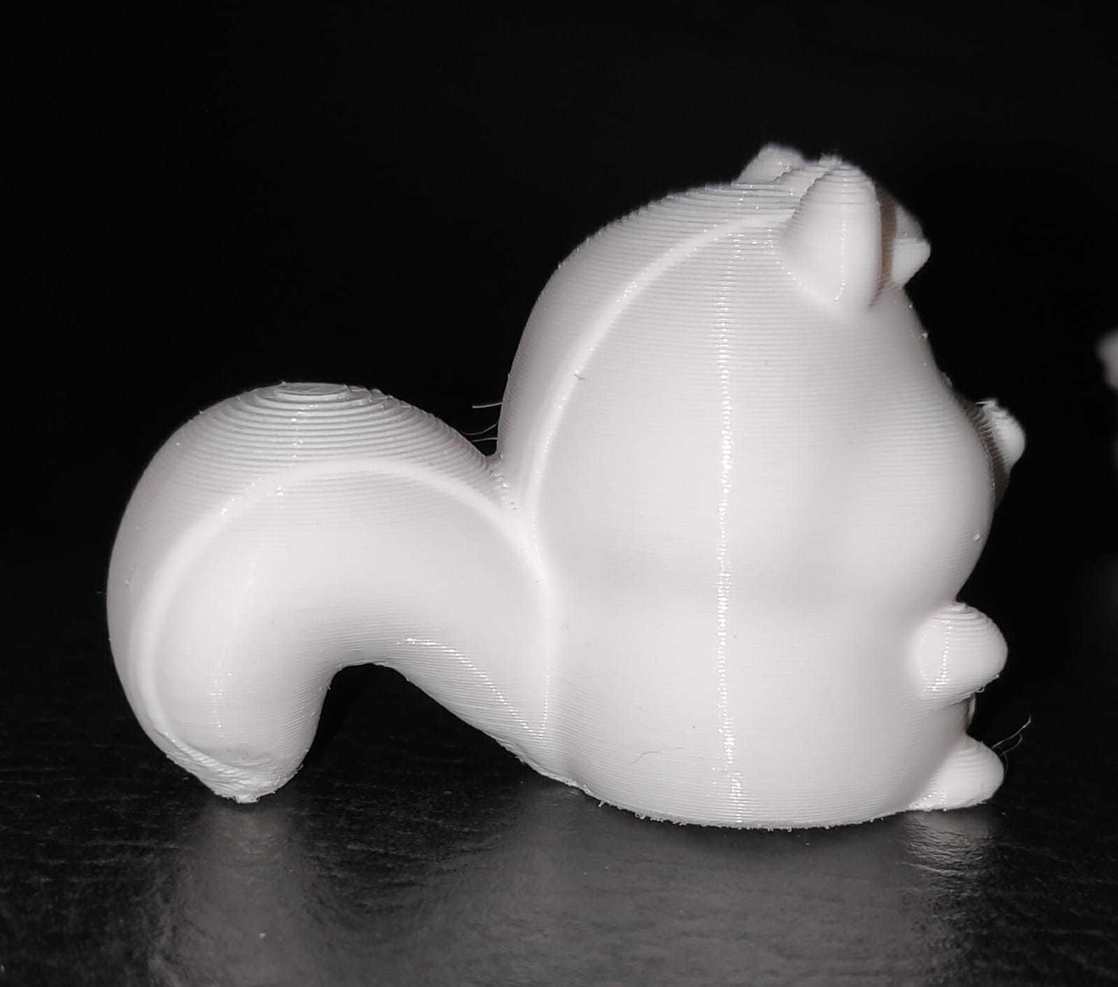 Cute Skunk 3D print model_5