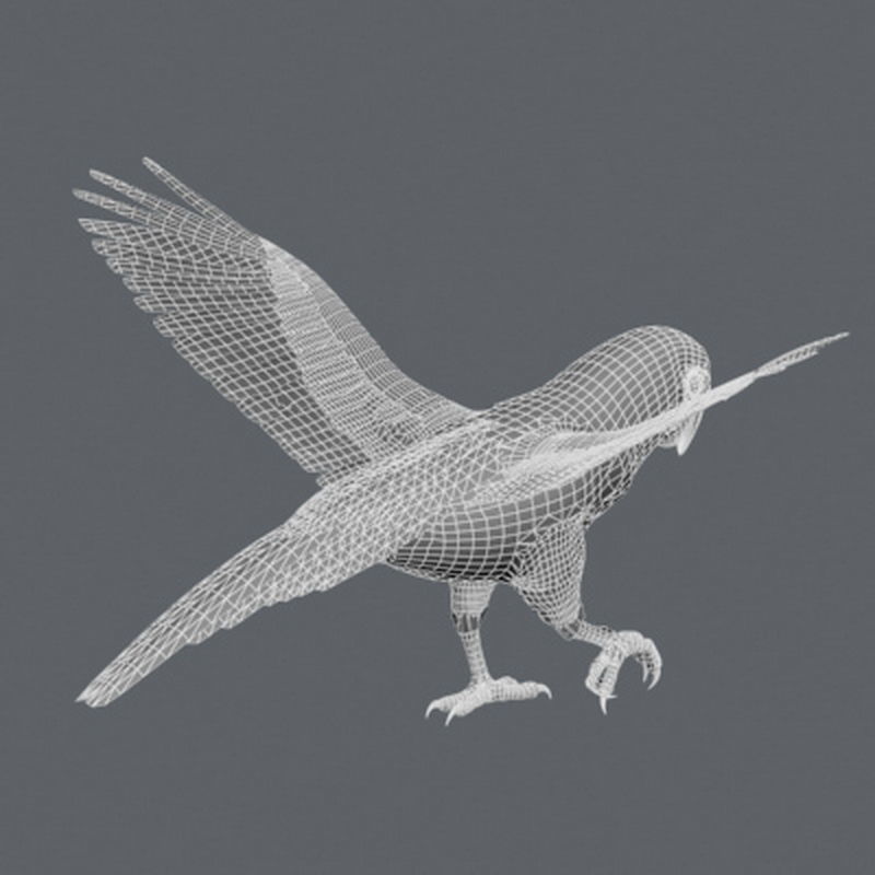 Pack - Birds Animated 3D model_11
