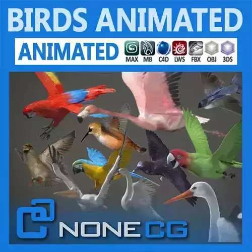 Pack - Birds Animated 3D model
