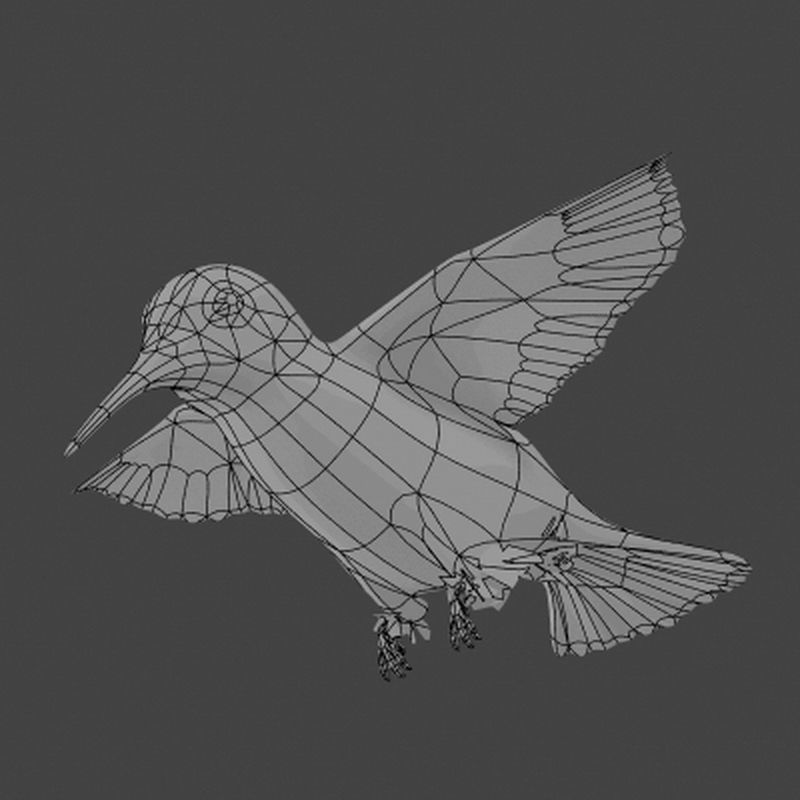 Pack - Birds Animated 3D model_7