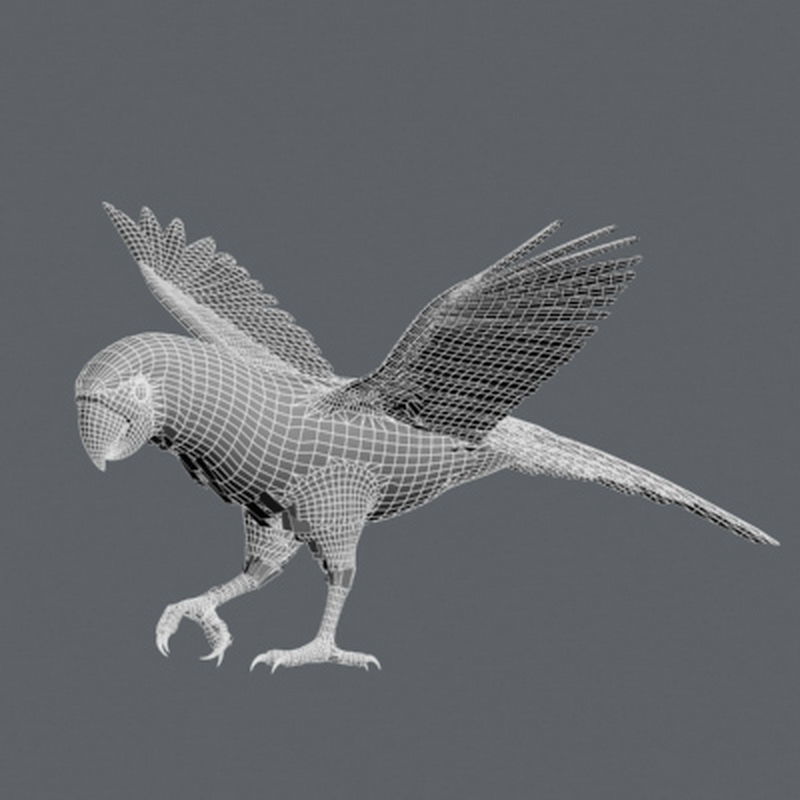 Pack - Birds Animated 3D model_13
