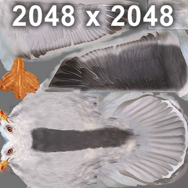 Pack - Birds Animated 3D model_17