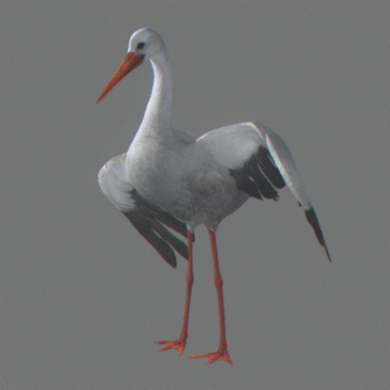 Pack - Birds Animated 3D model_30