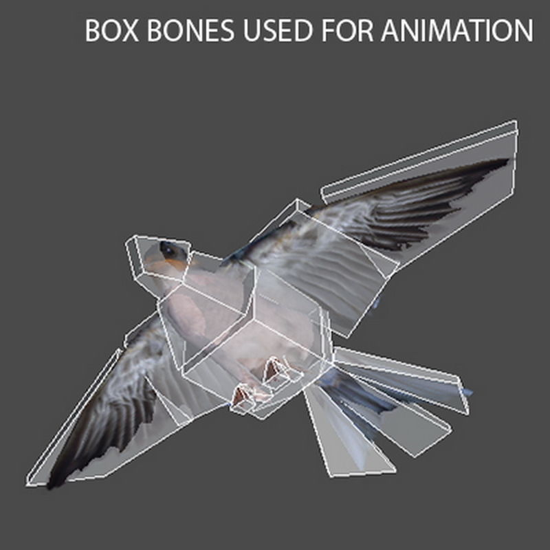 Pack - Birds Animated 3D model_22