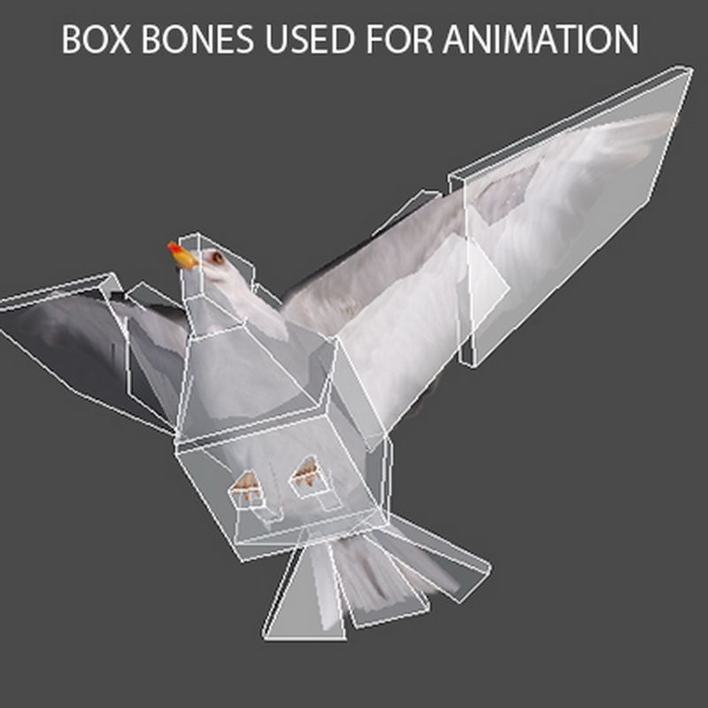 Pack - Birds Animated 3D model_15