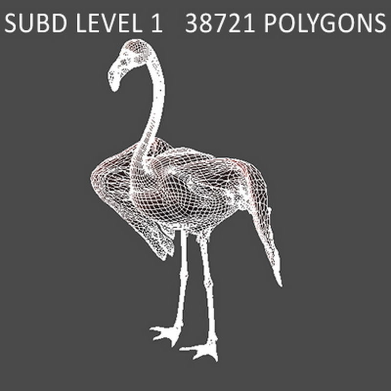 Pack - Birds Animated 3D model_5