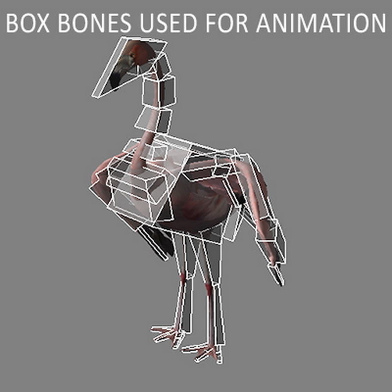Pack - Birds Animated 3D model_6