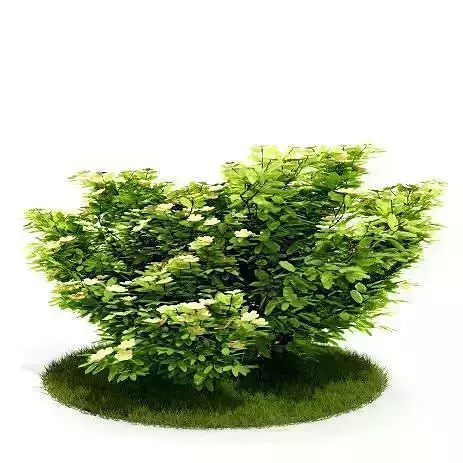 Artificial Green  Bush