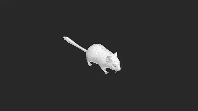 Making 3D Mouse In Blender  Low-poly 3D model