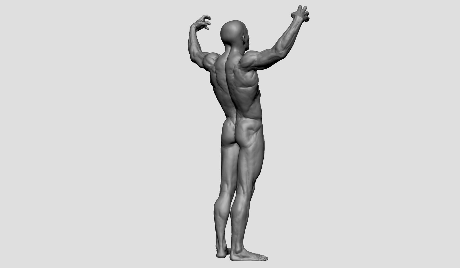 Male Anatomy Printable v2 3D print model_3