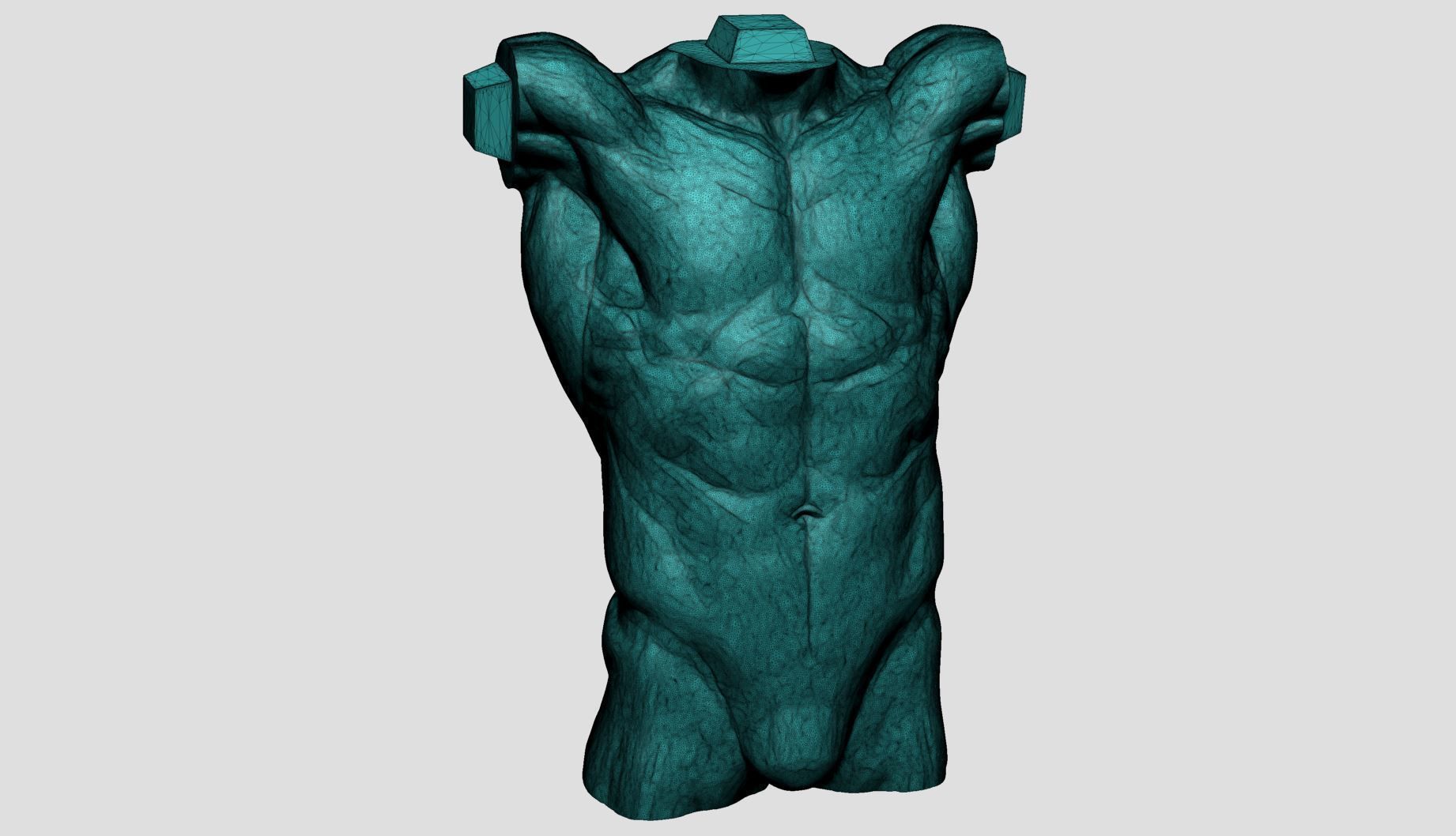 Male Anatomy Printable v2 3D print model_10