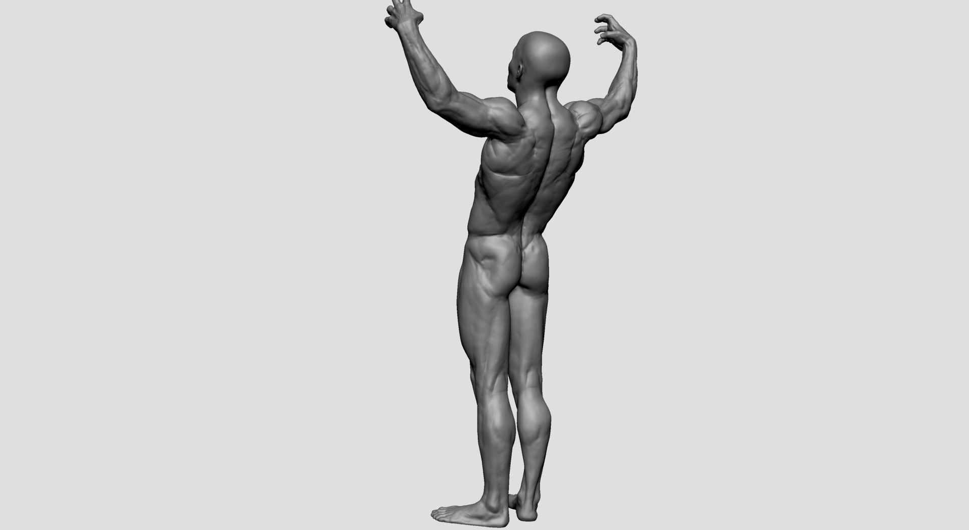 Male Anatomy Printable v2 3D print model_5