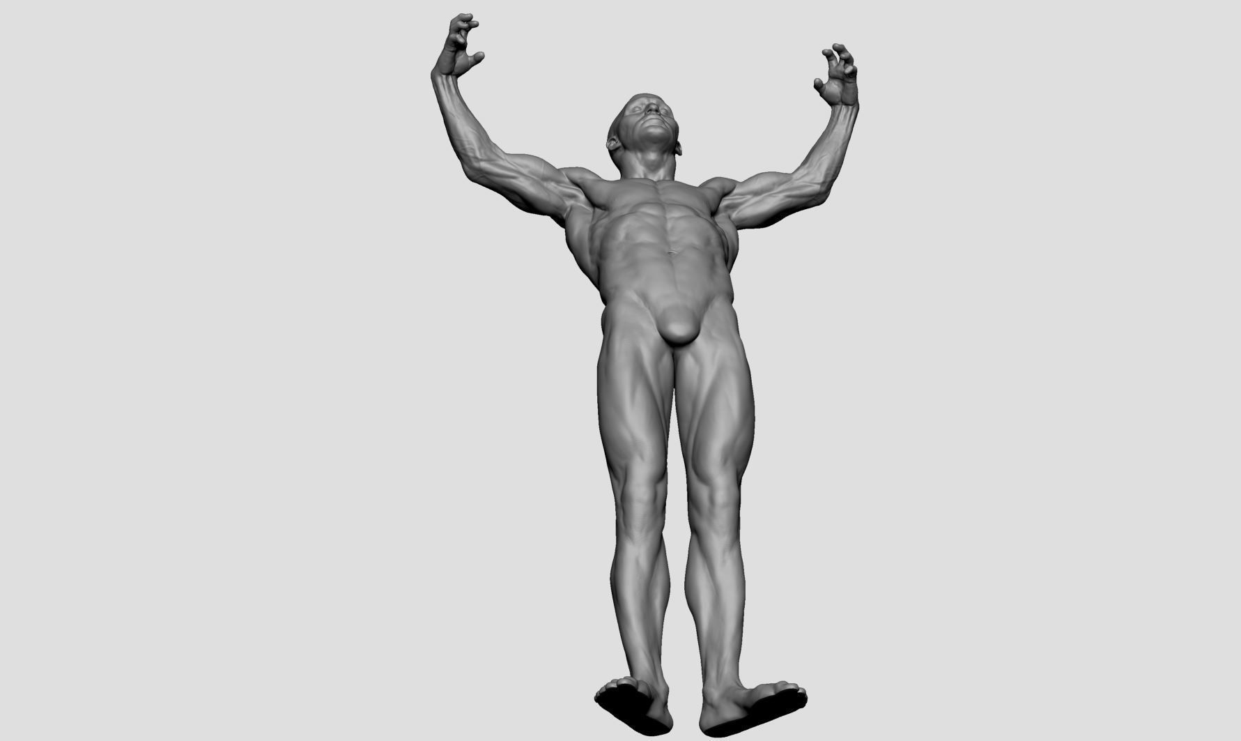 Male Anatomy Printable v2 3D print model_9