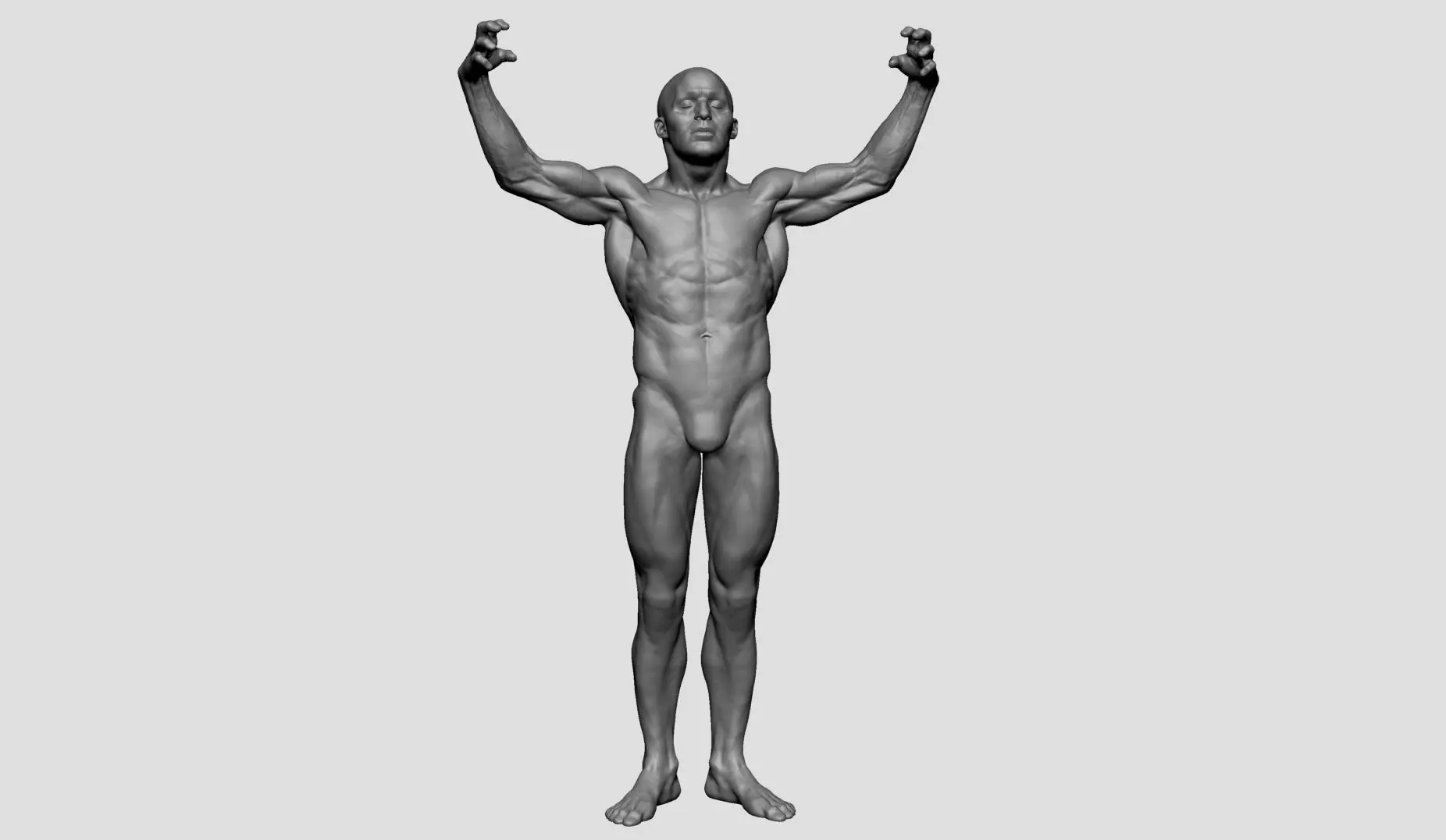 Male Anatomy Printable v2 3D print model_0