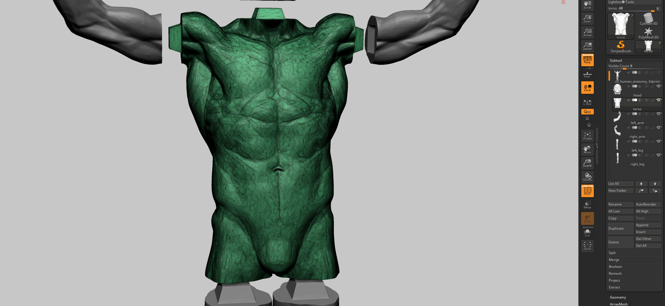 Male Anatomy Printable v2 3D print model_20