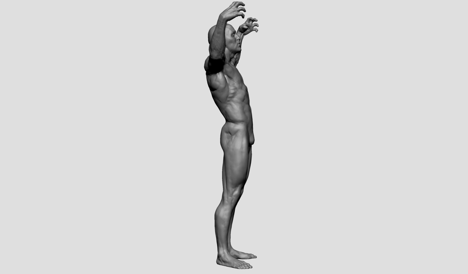 Male Anatomy Printable v2 3D print model_2