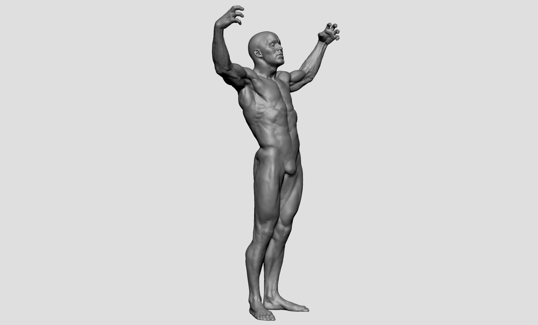 Male Anatomy Printable v2 3D print model_1