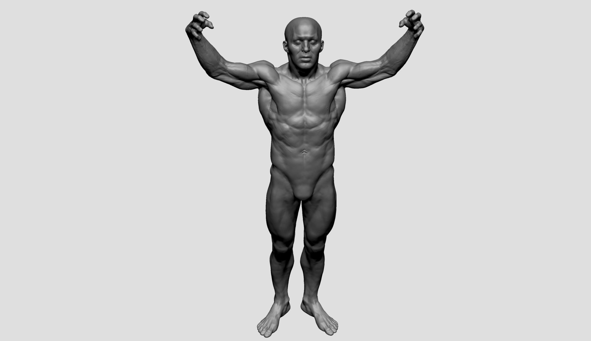 Male Anatomy Printable v2 3D print model_7