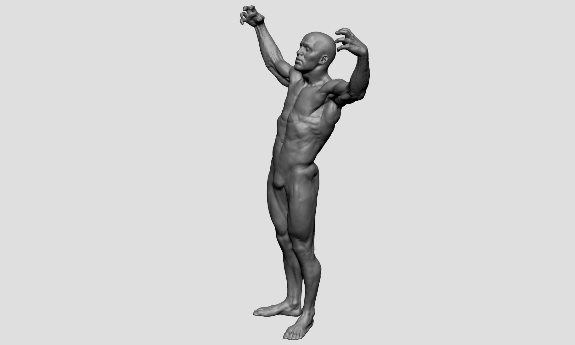 Male Anatomy Printable v2 3D print model_6