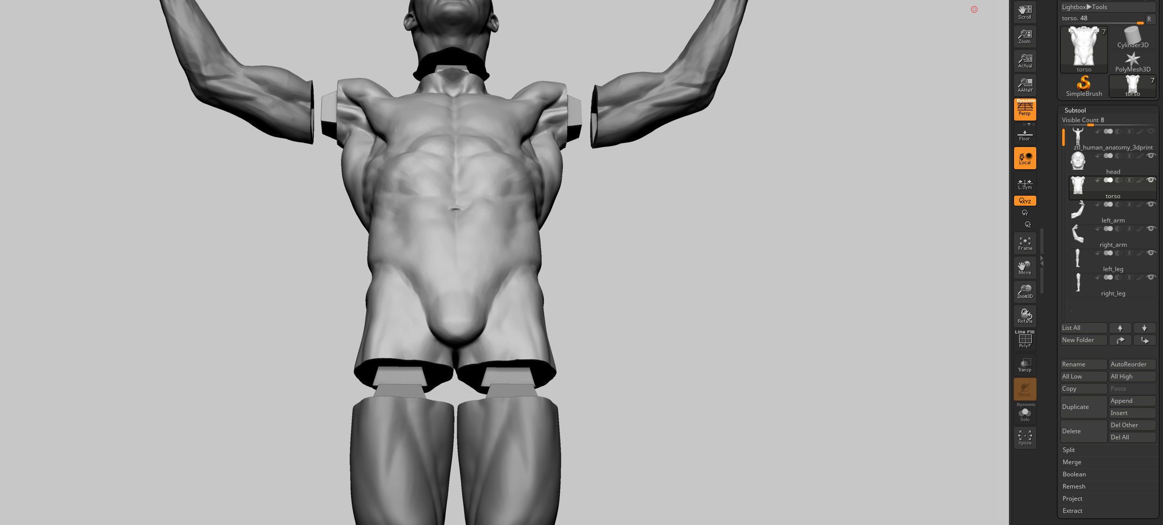 Male Anatomy Printable v2 3D print model_18