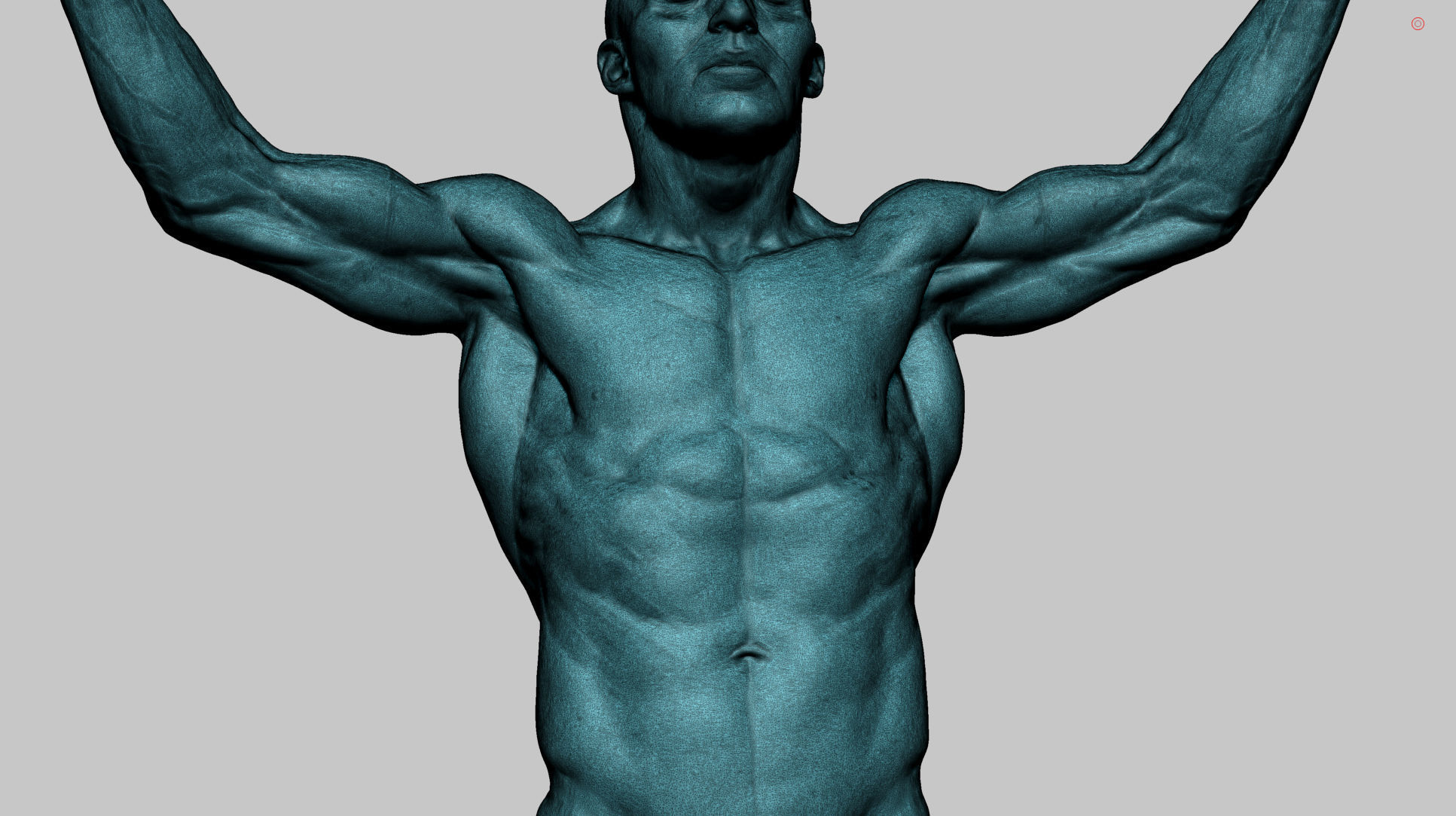 Male Anatomy Printable v2 3D print model_16